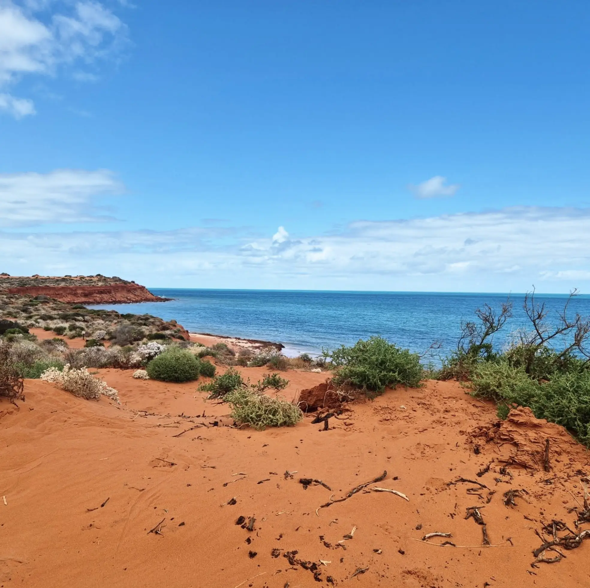 Shark Bay