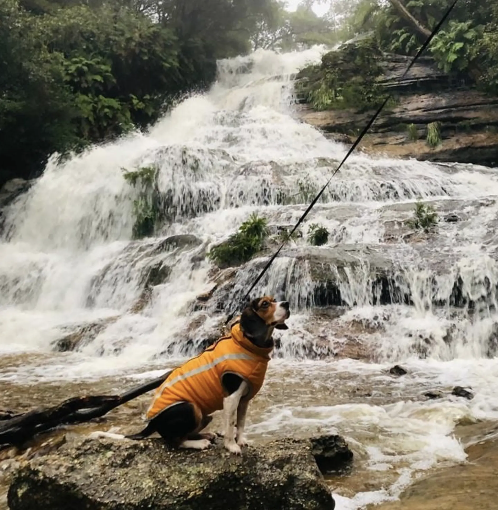 Katoomba Falls Reserve