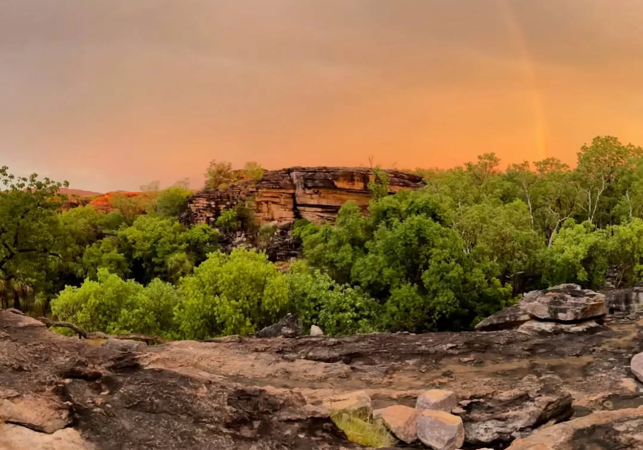 body temperature, Kakadu