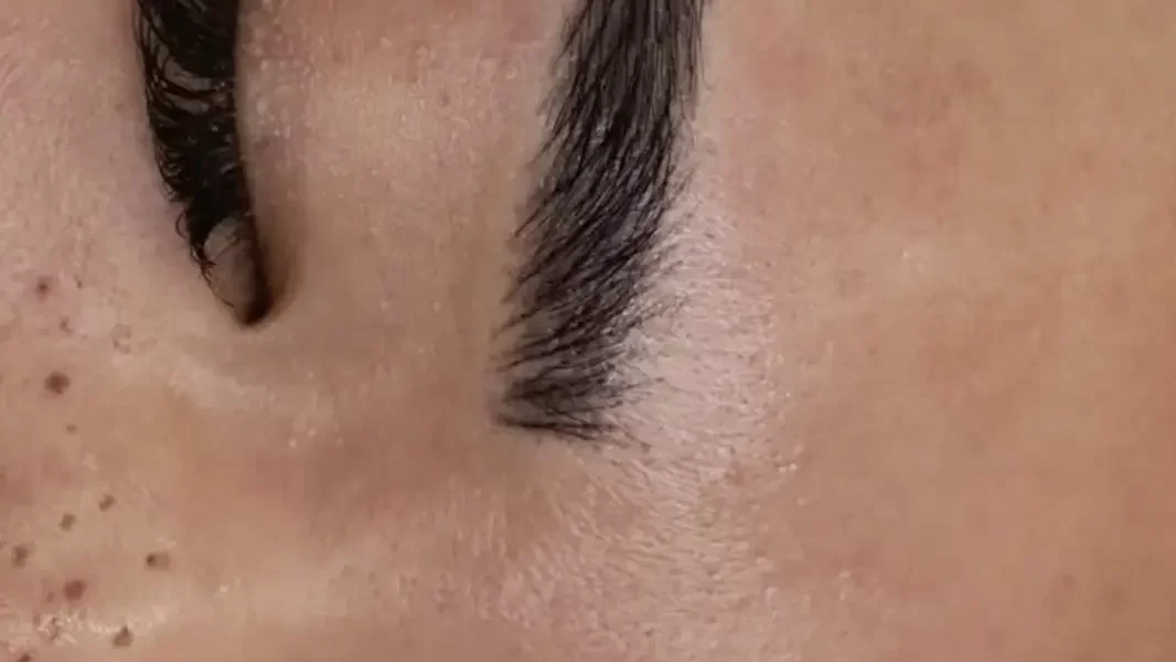 Can You Be a Self-Taught Brow Artist?